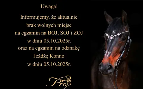 Twój przewodnik: Odznaka "Jeżdżę Konno" PZJ zdaj za 1 razem!
