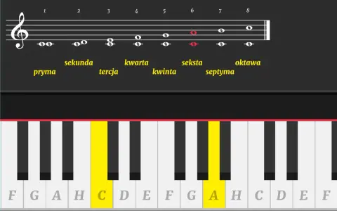 Diagram muzyczny wyjaśnia, co to jest ton, pokazując interwały na klawiaturze fortepianu i pięciolinii.