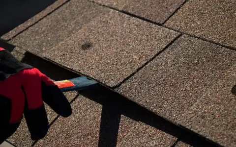 A gloved hand uses a tool to lift an asphalt shingle, indicating asphalt shingle roof repair is underway.