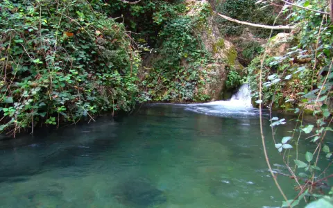 Agua cristalina en una **piscina natural** de Letur, rodeada de vegetación exuberante y rocas cubiertas de musgo.