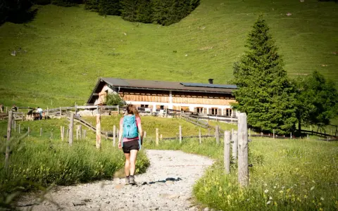 Frau mit Rucksack wandert auf einem Schotterweg zu einer Berghütte. Grüne Wiesen und Bäume im Hintergrund.