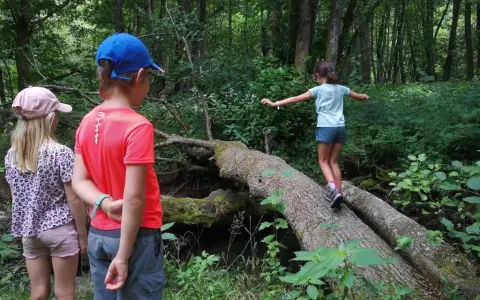 Une joyeuse randonnée avec enfants dans une forêt luxuriante. Une jeune fille traverse un tronc d'arbre tombé, tandis que deux autres enfants l'observent.