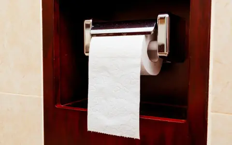 Uchwyt na papier toaletowy zamontowany jest na wygodnej wysokości, w ciemnej, drewnianej wnęce.