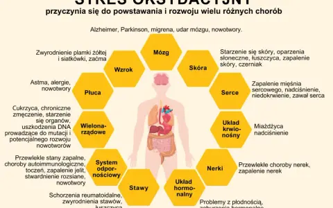 Stres oksydacyjny i wolne rodniki wpływają na mózg, wzrok, płuca, skórę, serce, układ krwionośny, nerki, stawy i układ hormonalny, prowadząc do chorób.