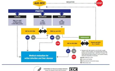 Schemat diagnostyki zakażenia HCV. Pokazuje, co to jest HCV i jak przebiega diagnostyka, od testu Anti-HCV do potwierdzenia lub wykluczenia infekcji.