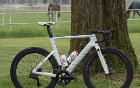 Mathieu van der Poel's white Canyon bike, ready for a race, stands by a tree. Horses graze in the background.