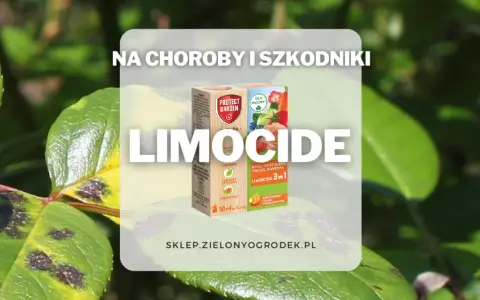 Oprysk Limocide na choroby i szkodniki roślin ozdobnych, owoców i warzyw. Skuteczny preparat w walce z plamami na liściach.
