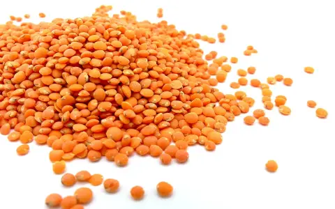 Un tas de lentilles corail, petites et orangées, s'étale sur un fond blanc. Elles sont prêtes à être cuisinées.