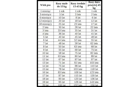 Tabela pokazuje, jak liczy się psie lata w zależności od rasy i wagi psa.