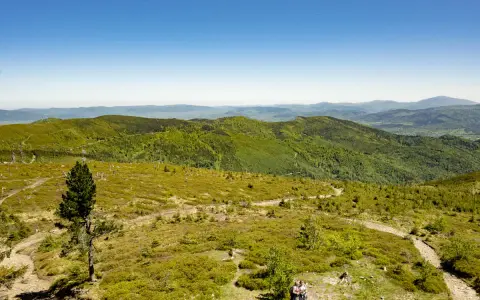 Malownicze szlaki na Baraniej Górze prowadzą przez zielone wzgórza i lasy. Dwie osoby podziwiają panoramę Beskidów.