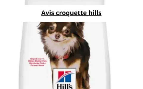 Chien chihuahua sur un sac de croquettes Hill's.