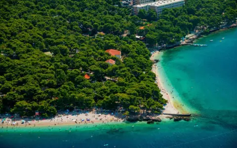 Malownicza plaża na punta rata chorwacja, otoczona sosnowym lasem, z turkusową wodą i wypoczywającymi ludźmi.