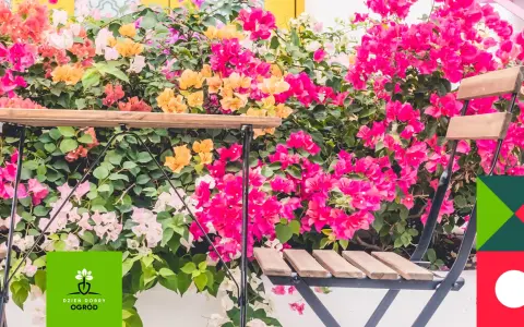 Kwiaty zwisające na balkon tworzą barwną kaskadę. Stolik i krzesła zapraszają do odpoczynku wśród bujnej zieleni i kolorowych kwiatów.