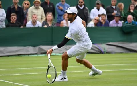 Fernando Verdasco Carmona, tenista español, golpea la pelota en una cancha de césped.