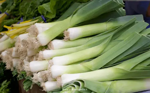 Porri freschi, pronti per essere cucinati. La loro stagione è perfetta per zuppe e minestre.
