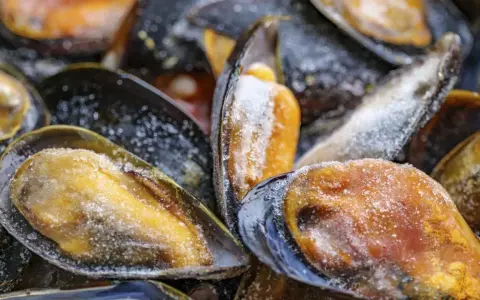 Primer plano de mejillones congelados cubiertos de escarcha. Se pueden congelar los mejillones para conservarlos frescos.