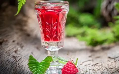 Kieliszek nalewki z malin na spirytusie, obok świeża malina i liść. Letni smak natury.