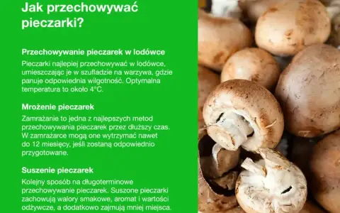 Jak przechowywać pieczarki? Porady dotyczące chłodzenia, mrożenia i suszenia pieczarek, aby zachować ich świeżość i smak.