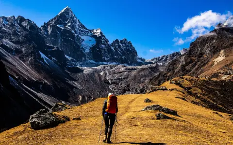 Osoba z plecakiem i kijkami wędruje przez żółtą trawę w kierunku ośnieżonych gór. To jest właśnie co to jest hiking.
