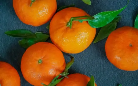 Kilka soczystych mandarynek z zielonymi listkami. Zastanawiasz się, ile kcal mają mandarynki? Są niskokaloryczne i zdrowe!