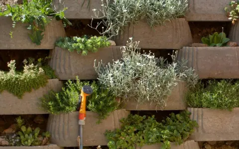 Grüne Oasen in Beton: Üppig bepflanzte Pflanzsteine bilden eine lebendige Wand. Eine Gießkanne wartet auf ihren Einsatz.