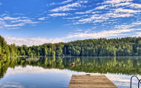Holzsteg am ruhigen Badesee Dresden, umgeben von üppigem Grün und blauem Himmel mit Wolken.