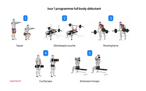 Jour 1 programme full body débutant : Squat, développé couché, rowing barre, curl biceps, extension triceps. Idéal pour un programme musculation débutant.