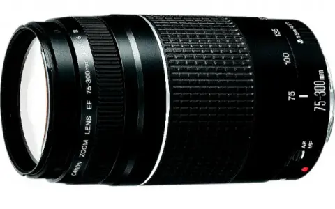 Obiektyw 75-300: Zastosowania, porady i sekrety ostrych zdjęć