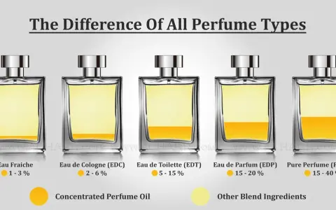 EdT vs. EdP: Der entscheidende Unterschied für Ihren Duftstil