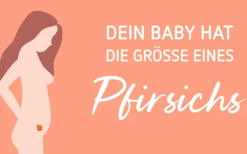 ssw 17: Dein Baby hat die Grösse eines Pfirsichs. Eine schwangere Frau mit einem kleinen Pfirsich auf dem Bauch.