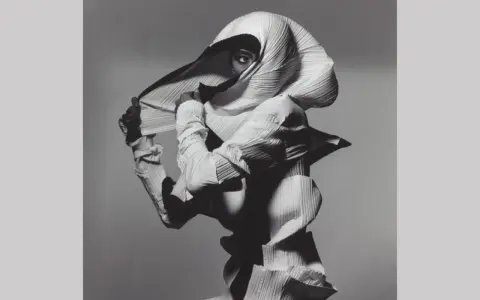 Modella con un abito plissettato bianco, un'opera d'arte di Irving Penn, che nasconde il viso tranne un occhio penetrante.