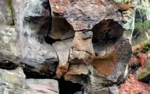 Skalna czaszka w lesie, z pustymi oczodołami i nosem wyrzeźbionym przez naturę.