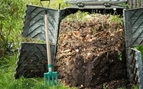 Kompostownik pełen resztek organicznych, obok zielone widły. Proces kompostowania w ogrodzie, numer 200201.