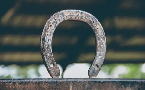Zardzewiałe hacele w podkowie, symbol szczęścia i dawnych czasów, stoją na metalowej belce.