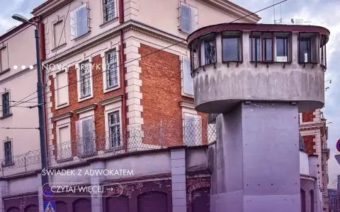 Świadek z adwokatem? Twoje prawo do ochrony w sądzie i urzędzie