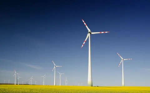 Windräder im Rapsfeld unter blauem Himmel. Ein Zeichen für die Zukunft der Energieversorgung, wie sie die EEG Ausschreibung fördert.