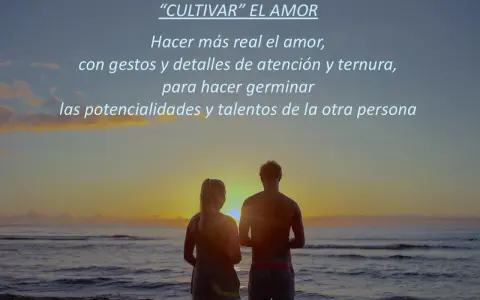 Pareja contemplando el atardecer, cultivando sentimientos de amor con gestos y ternura.