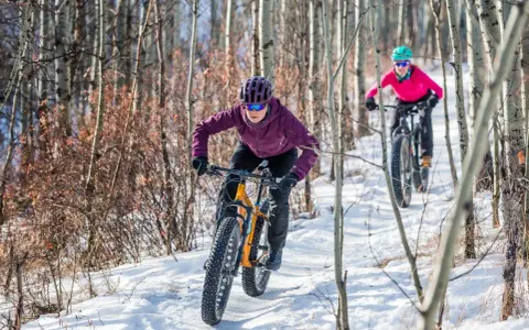 Two people enjoy a winter mtb ride on a snowy trail through a birch forest.