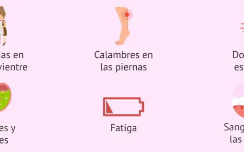 En el embarazo de 23 semanas, se muestran molestias comunes: dolor de vientre, calambres, dolor de espalda, ardores, fatiga y sangrado de encías.