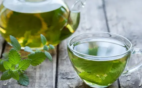 Aromatic melisa w szklanej filiżance i dzbanku, z gałązką świeżej melisy. Czy melisa obniża ciśnienie? Warto spróbować.