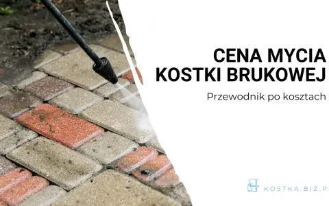Cennik czyszczenia kostki brukowej: Nie przepłacaj! Porady eksperta