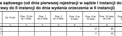 Ile trwa apelacja karna? Czas oczekiwania i etapy krok po kroku