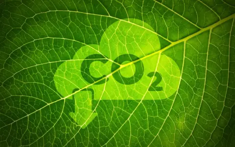 Redukcja emisji CO2: Co musisz wiedzieć o zielonej transformacji?
