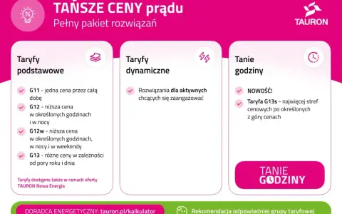 Porównanie taryf prądu: podstawowe, dynamiczne i tanie godziny. TAURON oferuje różne opcje dla dostawców prądu.