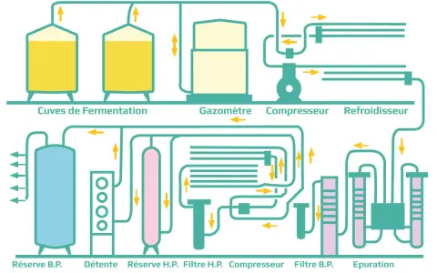 Schéma d'une installation de traitement de gaz, montrant la fermentation, la compression et la purification du CO2.
