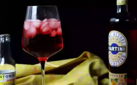 Orzeźwiający martini z tonikiem, z lodem i owocowym akcentem, obok butelki toniku i butelki Martini.