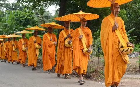 A procession of monks in saffron robes, carrying alms bowls and yellow umbrellas, walk down a road.