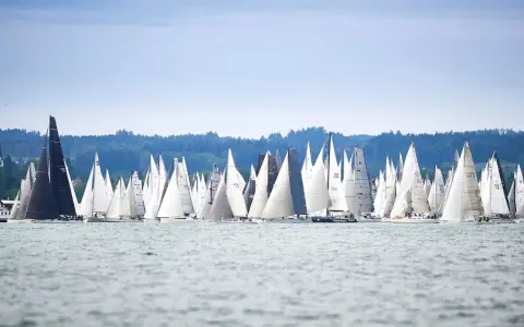 Viele Segelboote kämpfen bei einer spannenden Segelregatta aktuell um die Wette. Die Boote mit weißen und schwarzen Segeln sind auf dem Wasser dicht beieinander.
