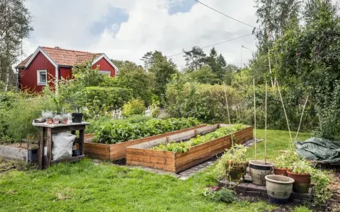 En röd stuga med vita knutar omgiven av grönska. Odling i upphöjda bäddar ger fin **kolonilott inspiration**.