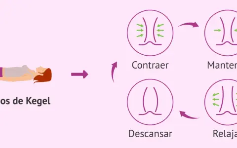 Ilustración de ejercicios de Kegel: mujer tumbada, ciclo de contracción, mantener, relajación y descanso del músculo pubococcigeo.